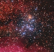 APOD